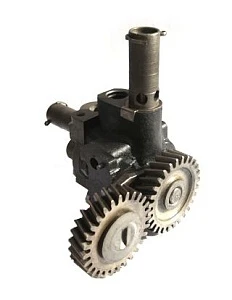 11925